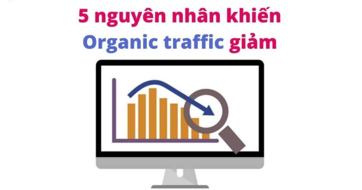 Organic Traffic là gì? Organic Traffic quan trọng như nào trong SEO 7